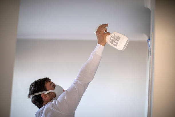 Best Toxic Mold Removal  in Concord, CA