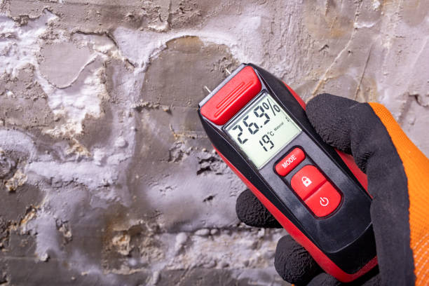 Best Residential Mold Removal  in Concord, CA